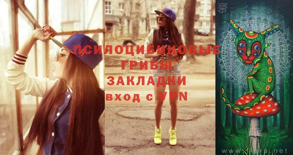 круглые Арсеньев
