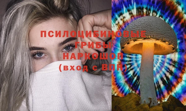 ECSTASY Аркадак