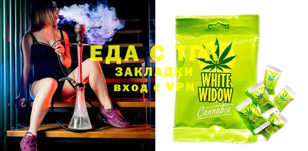 мдпв Рославль
