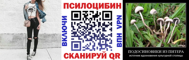 Галлюциногенные грибы GOLDEN TEACHER  Кочубеевское 